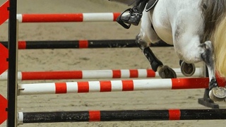 Jumping obstacles фото