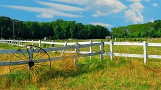 Fencing for paddocks фото