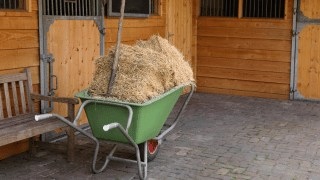 Wheelbarrow for the stable фото