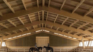 Arena for the stable фото