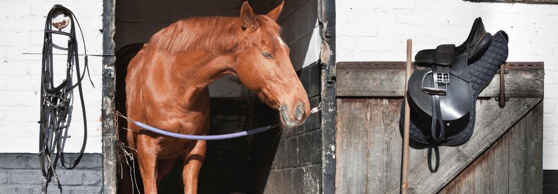 Storage of ammunition in the stable, equipment from the manufacturer EQUINE-HOUSE