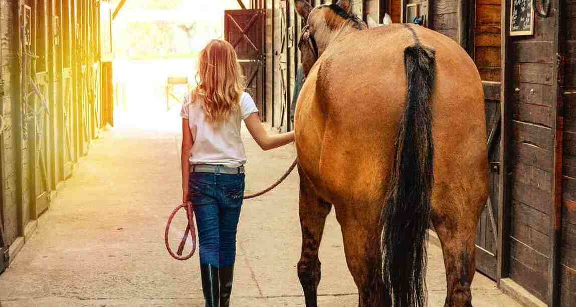 photo keeping horses